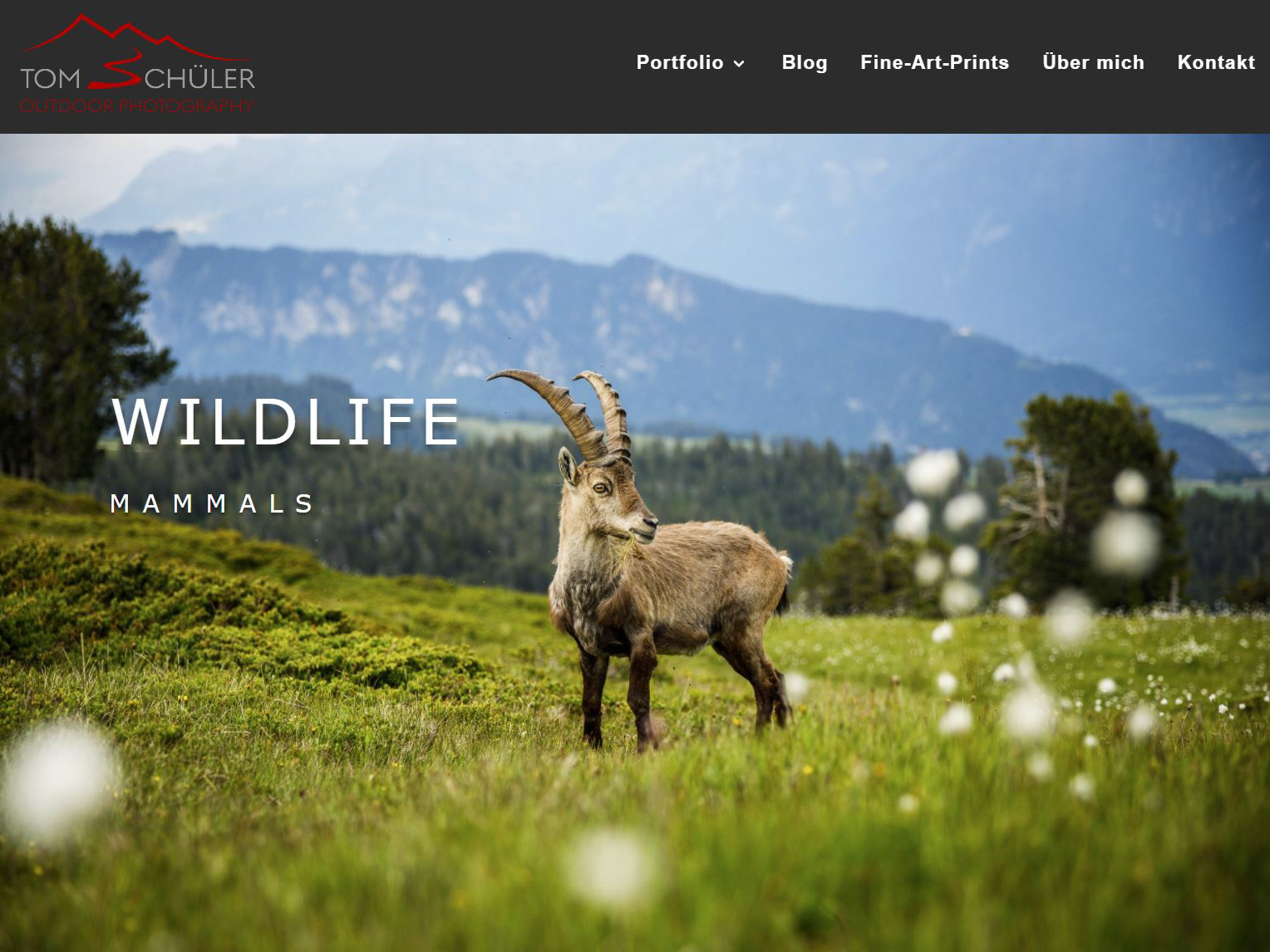 Neue Website